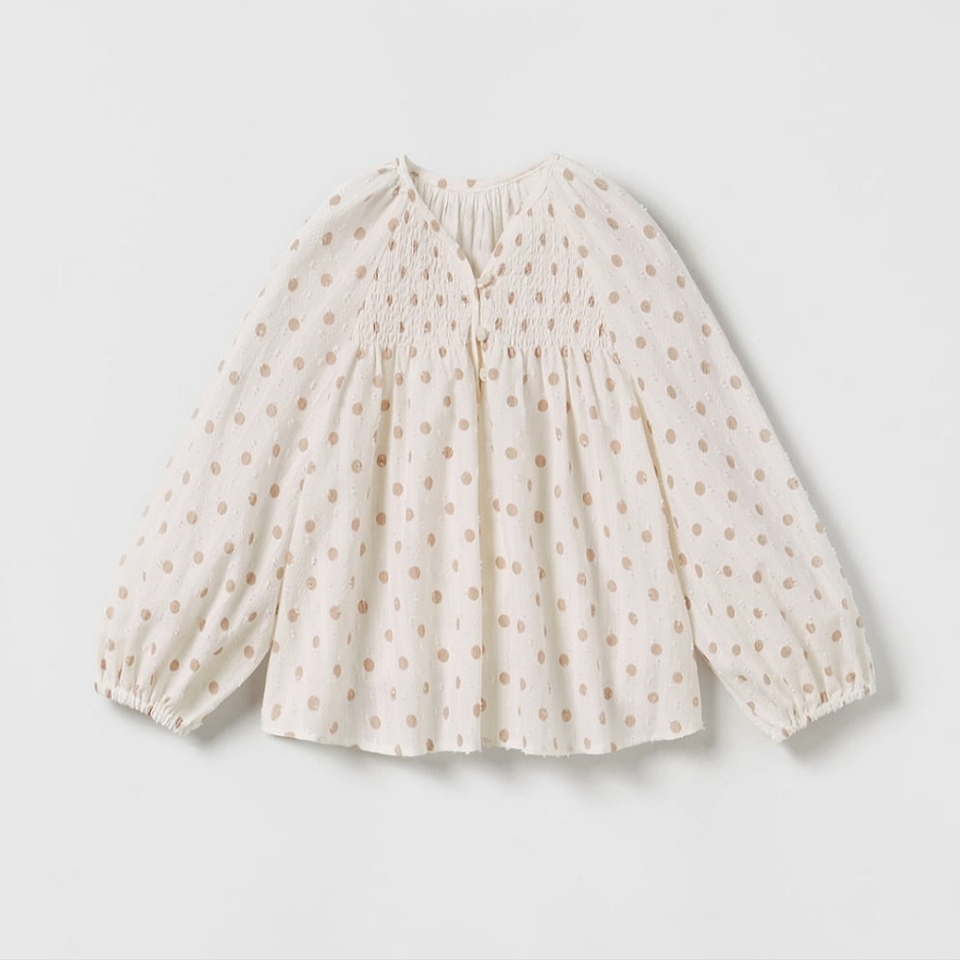 Zara Dotted Mesh Polka Dot Shirt